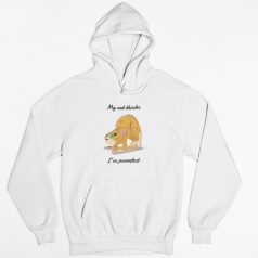 My cat thinks pulóver