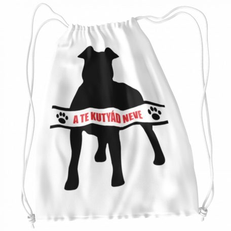 Amerikai pitbull egyedi neves tornazsák