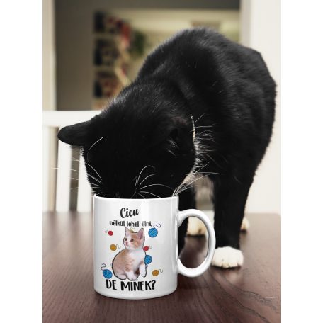 Színes - Cica nélkül lehet élni, de minek? bögre