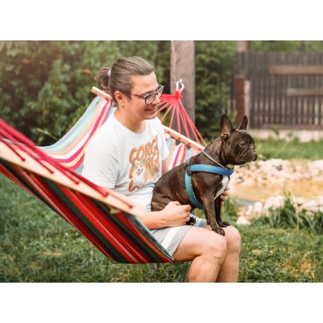 Corgi Corgi Corgi férfi póló