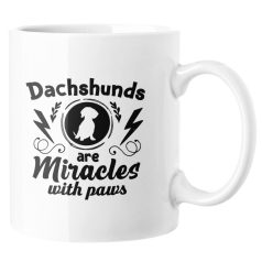 Dachshunds are miracles with paws bögre