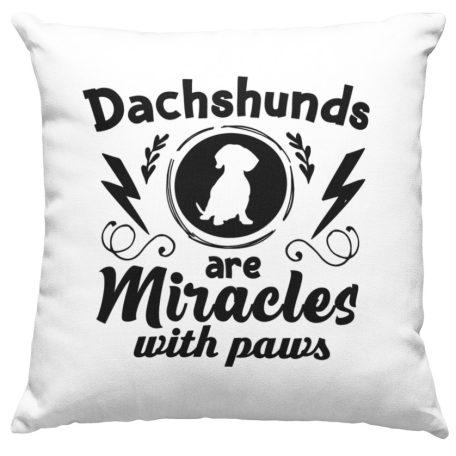 Dachshund are miracles with paws párna