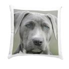 Egyedi fényképes párna