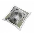 Egyedi fényképes párna