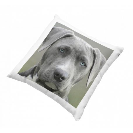 Egyedi fényképes párna