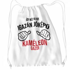 Így néz ki egy igazán jóképű kaméleon tornazsák