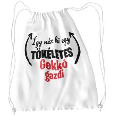 Így néz ki egy tökéletes gekkó tornazsák