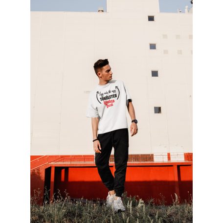 Így néz ki egy tökéletes iguána gazdi férfi póló