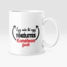 Így néz ki egy tökéletes kaméleon gazdi bögre