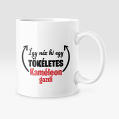 Így néz ki egy tökéletes kaméleon gazdi bögre