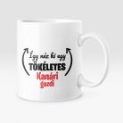 Így néz ki egy tökéletes kanári gazdi bögre