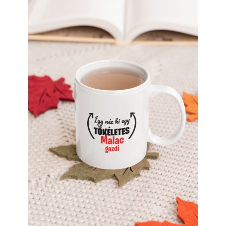 Így néz ki egy tökéletes malac gazdi bögre