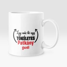 Így néz ki egy tökéletes patkány gazdi bögre