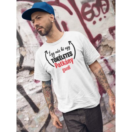 Így néz ki egy tökéletes patkány gazdi férfi póló