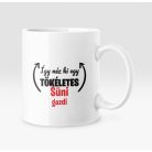 Így néz ki egy tökéletes süni gazdi bögre