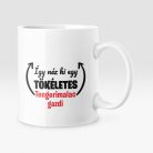 Így néz ki egy tökéletes tengerimalac gazdi bögre