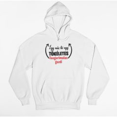 Így néz ki egy tökéletes tengerimalac gazdi pulóver