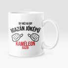 Így néz ki egy igazán jóképű kaméleon gazdi bögre