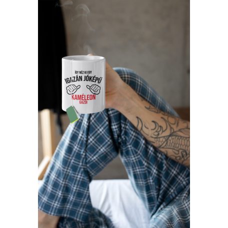 Így néz ki egy igazán jóképű kaméleon gazdi bögre