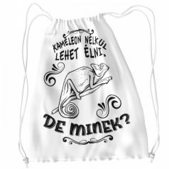 Kaméleon nélkül tornazsák