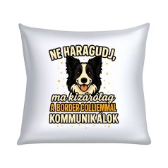   Ne haragudj, ma kizárólag a border colliemmal kommunikálok párna