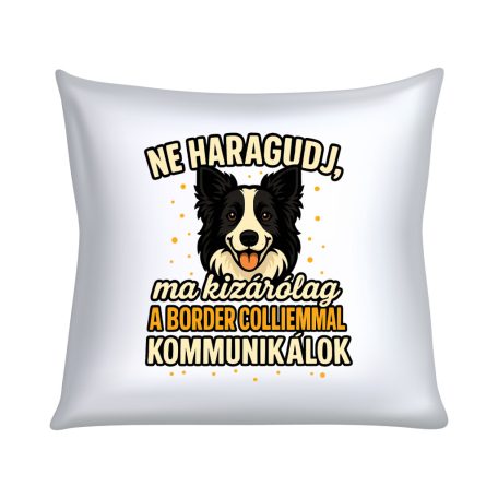 Ne haragudj, ma kizárólag a border colliemmal kommunikálok párna