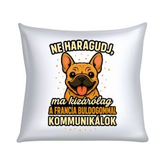   Ne haragudj, ma kizárólag a francia bulldogommal kommunikálok párna