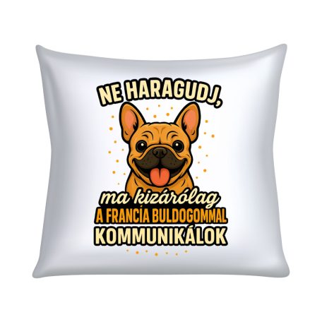 Ne haragudj, ma kizárólag a francia bulldogommal kommunikálok párna