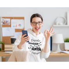 Legjobb kaméleon anya a világon pulóver