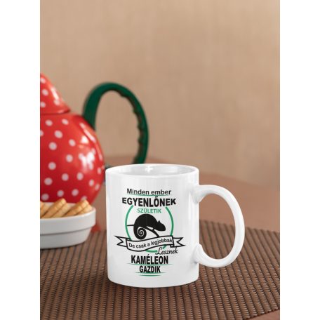 Minden ember egyenlőnek születik, de csak a legjobbak lesznek kaméleon gazdik bögre