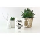 Minden ember egyenlőnek születik, de csak a legjobbak lesznek nyuszi bögre