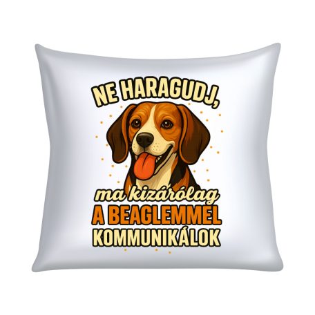 Ne haragudj, ma kizárólag a beaglemmel kommunikálok párna