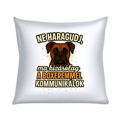   Ne haragudj, ma kizárólag a boxeremmel kommunikálok párna