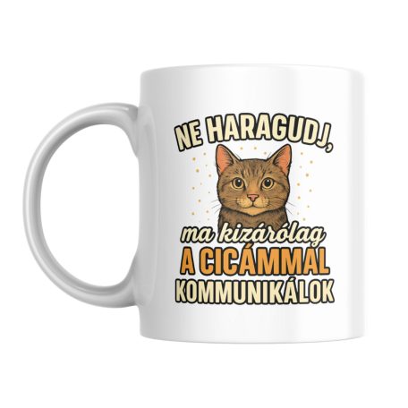 Ne haragudj, ma kizárólag a cicámmal kommunikálok bögre