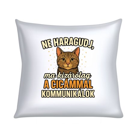 Ne haragudj, ma kizárólag a cicámmal kommunikálok párna