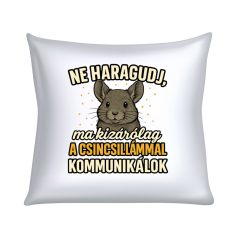   Ne haragudj, ma kizárólag a csincsillámmal kommunikálok párna