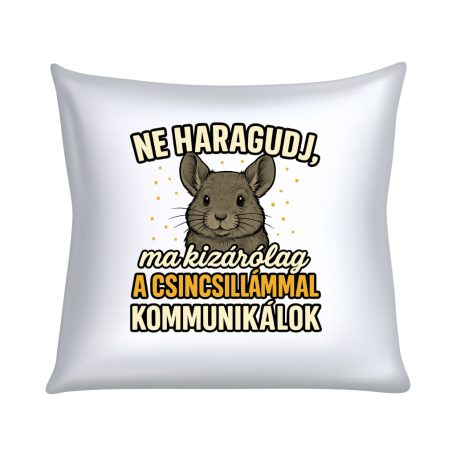 Ne haragudj, ma kizárólag a csincsillámmal kommunikálok párna