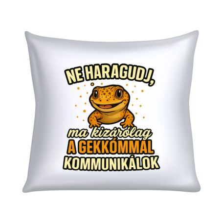 Ne haragudj, ma kizárólag a gekkómmal kommunikálok párna