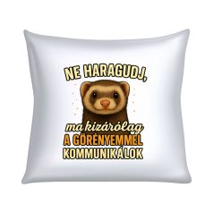   Ne haragudj, ma kizárólag a görényemmel kommunikálok párna