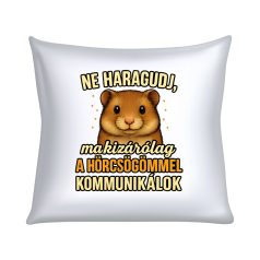   Ne haragudj, ma kizárólag a hörcsögömmel kommunikálok párna