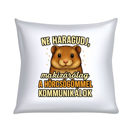 Ne haragudj, ma kizárólag a hörcsögömmel kommunikálok párna