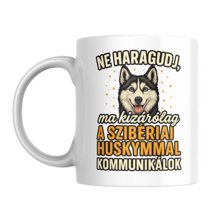 Ne haragudj, ma kizárólag a szibériai huskymmal kommunikálok bogre