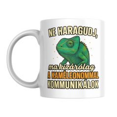   Ne haragudj, ma kizárólag a kaméleonommal kommunikálok bögre