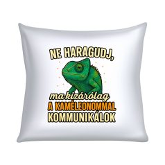   Ne haragudj, ma kizárólag a kaméleonommal kommunikálok párna