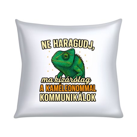 Ne haragudj, ma kizárólag a kaméleonommal kommunikálok párna