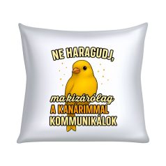   Ne haragudj, ma kizárólag a kanárimmal kommunikálok párna