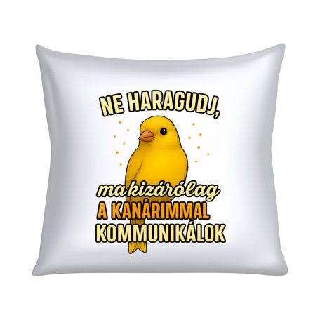 Ne haragudj, ma kizárólag a kanárimmal kommunikálok párna