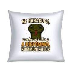   Ne haragudj, ma kizárólag a kígyómmal kommunikálok párna
