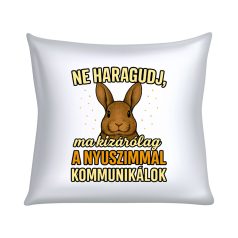   Ne haragudj, ma kizárólag a nyuszimmal kommunikálok párna