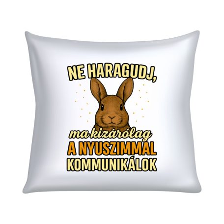 Ne haragudj, ma kizárólag a nyuszimmal kommunikálok párna